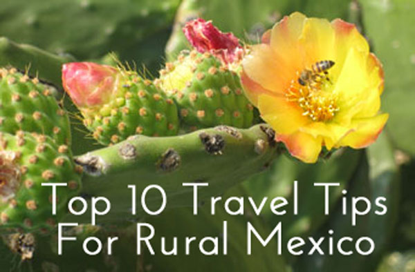 Click through to get your free report on my Top 10 Travel Tips for Rural Mexico