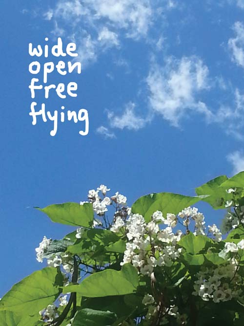 Makes me feel like flying kites! -- Wide Open Free Flying, a nature art print of a catalpa tree in summer by Jenny Hoople