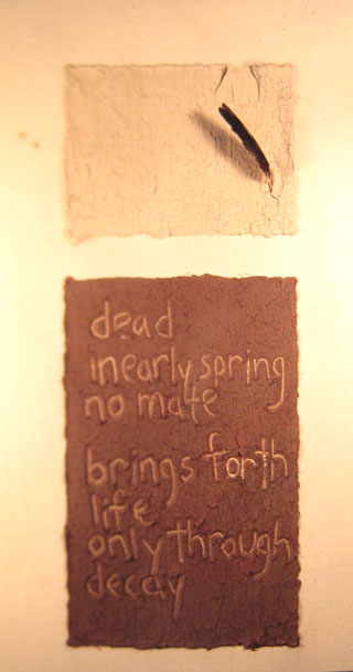 Installation Art by Jenny Hoople: The poignancy of untimely death is also beautiful.
