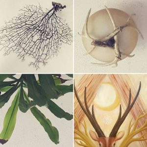 Things that branch (including a new painting by Jenny Hoople of Authentic Arts!)